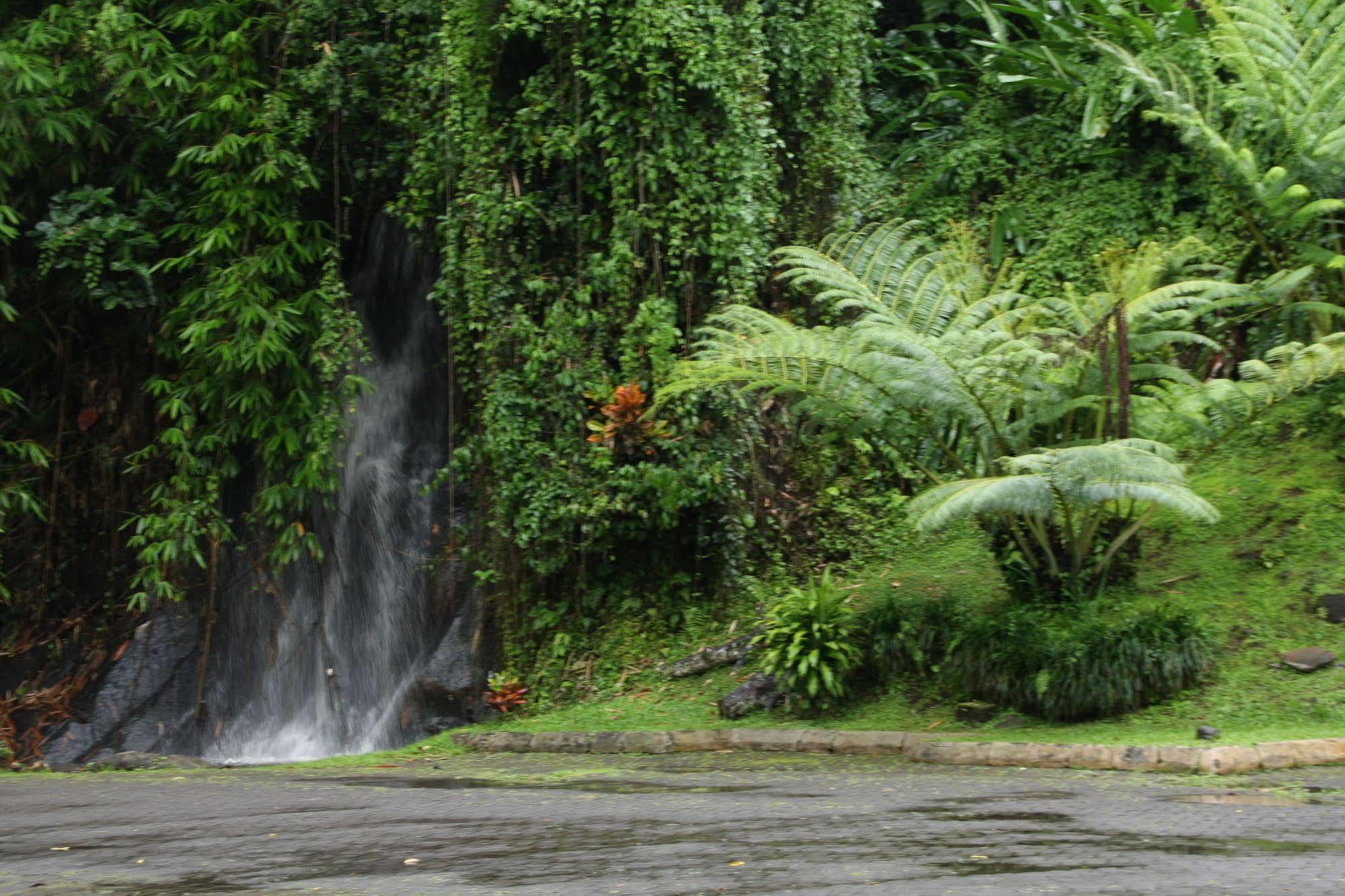 Yeh Panes Bali Hotel Marga Exterior photo